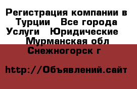 Регистрация компании в Турции - Все города Услуги » Юридические   . Мурманская обл.,Снежногорск г.